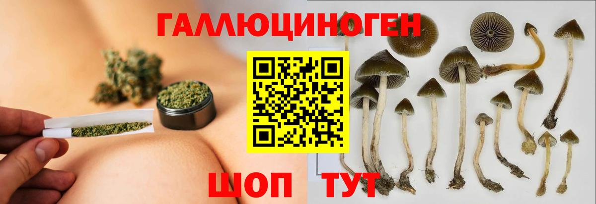 Геленджик  Галлюциногенные грибы MAGIC MUSHROOMS  дарнет шоп  Вход с VPN 